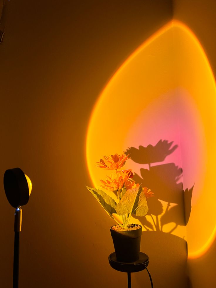 sunset lamp