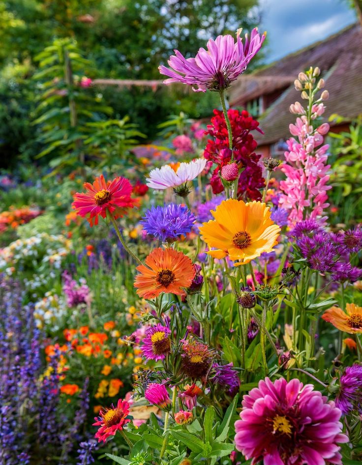 spring flowers