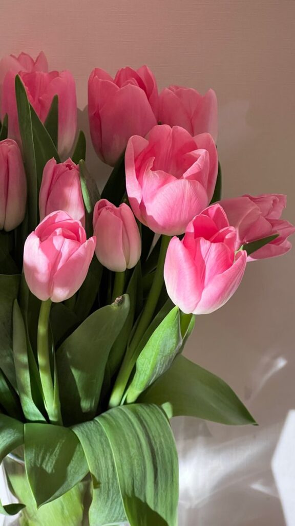 spring flowers